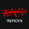 РАДІОПІХОТА