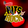 Radio Hits Rock