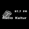 Radio Kultur