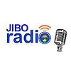 Jibo Radio