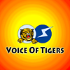 Voice Of Tigers