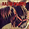 Radio Poitou