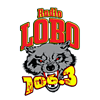 Radio Lobo 106.3 FM