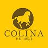 Colina 105.1 FM