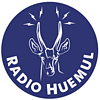 Radio Huemul