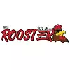 WFTZ Rooster 101.5 FM