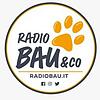 Radio Bau & Co