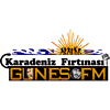 Radyo Gunes FM