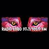 KLVO / KSFE Radio Lobo 97.7 & 102.9 FM