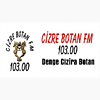 Cizre Botan FM