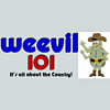 WVVL Weevil 101