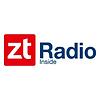 ZT Radio Inside