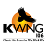 KWNG K-Wing 106