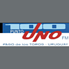 Santa Isabel FM 100.1