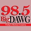 WDWG 98.5 FM