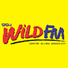 DXRT Wild FM Gensan 99.1 FM