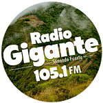 Radio Gigante 105.1 FM logo