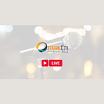 Onua 95.1 FM