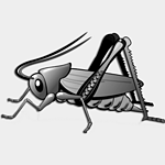 Cricket Radio Country Hits logo