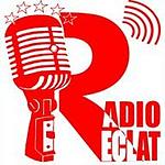 Radio Eclat logo