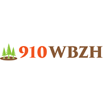 WBZH The Buzz 910 AM