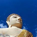 WatBuddhawas logo