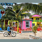 Caye Caulker Radio logo