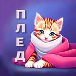 Радио Плед logo