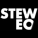 Steweo logo
