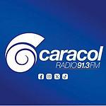 Radio Caracol 91.3 FM logo