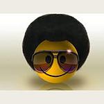 Mega Flash Web Radio logo