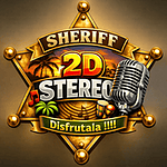 2D Stereo logo