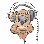 Power Country FM logo