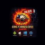 GUNS N ROSES FANS logo