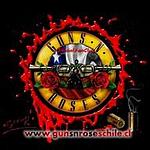 GUNS N ROSES FANS