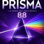 PRISMA88 logo