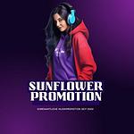 Sunflower Promotion - Discofox & Schlager