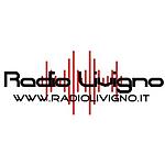 radio livigno logo