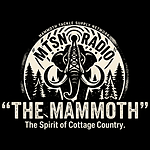 MTSN — The Mammoth logo