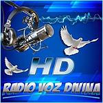 Radio Voz Divina FM GT logo