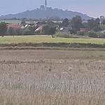 Radio Brachstedt logo