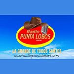 Radio Punta Lobos logo