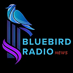 Bluebird Radio News logo
