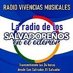 Radio Vivencias Musicales