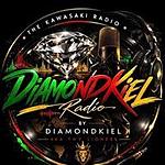 THE KAWASAKI RADIO & ENTERTAINMENT PARIS logo