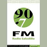 FM 90 - Radio Saladillo logo