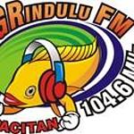 Grindulu FM