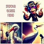 STORCKA ELSASS RADIO logo
