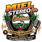 Miel Stéreo fm logo