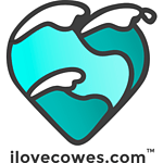 I love Cowes radio logo